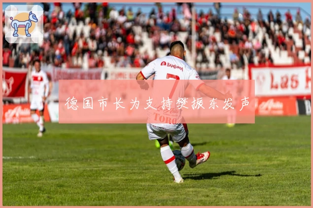 德国市长为支持樊振东发声
