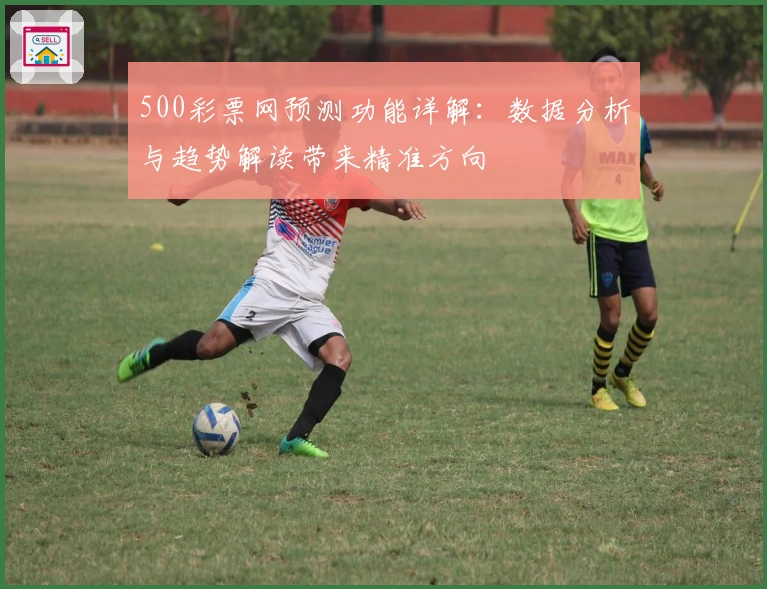 500彩票网预测功能详解：数据分析与趋势解读带来精准方向