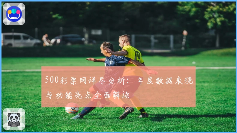 500彩票网详尽分析：年度数据表现与功能亮点全面解读
