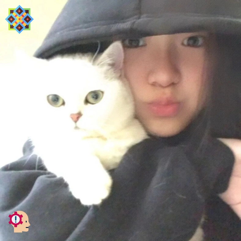 哈登粉丝（浙江省）